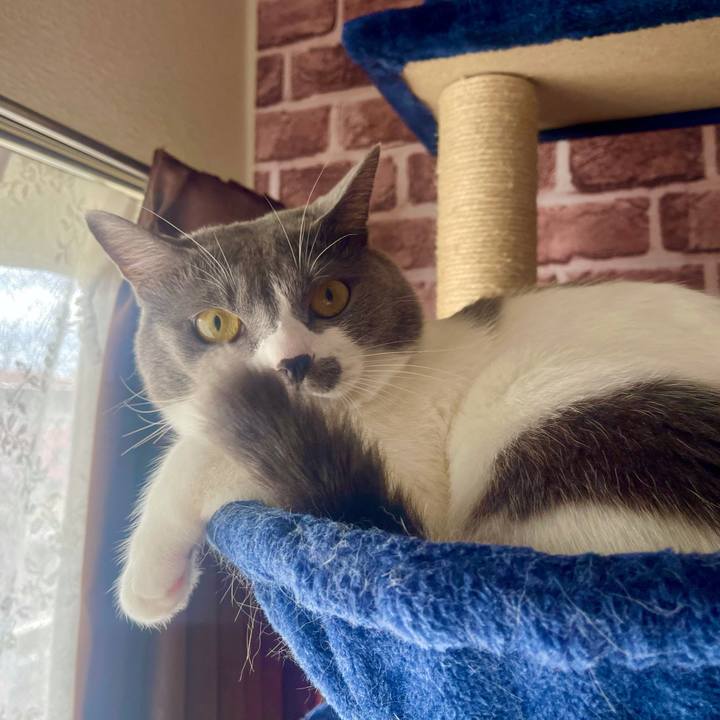 Ab3c4a61 9130 4170 b666 92e60961b6c2 1634524834492