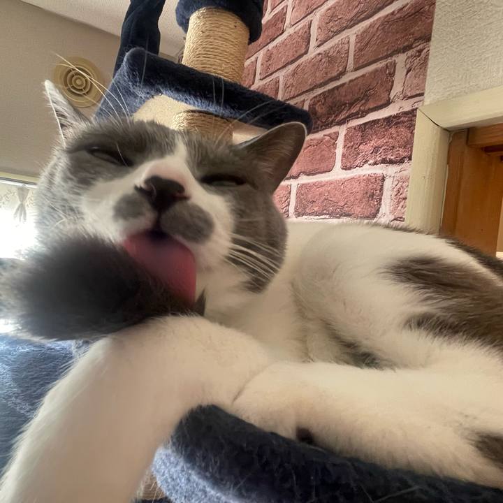 Ab3c5d5b 3dfa 4330 a81b 4eaf1924b788 1670542931938