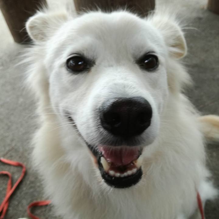 Ab3c6842 b6f8 4530 9e5f fda4e366d691 1507769395360