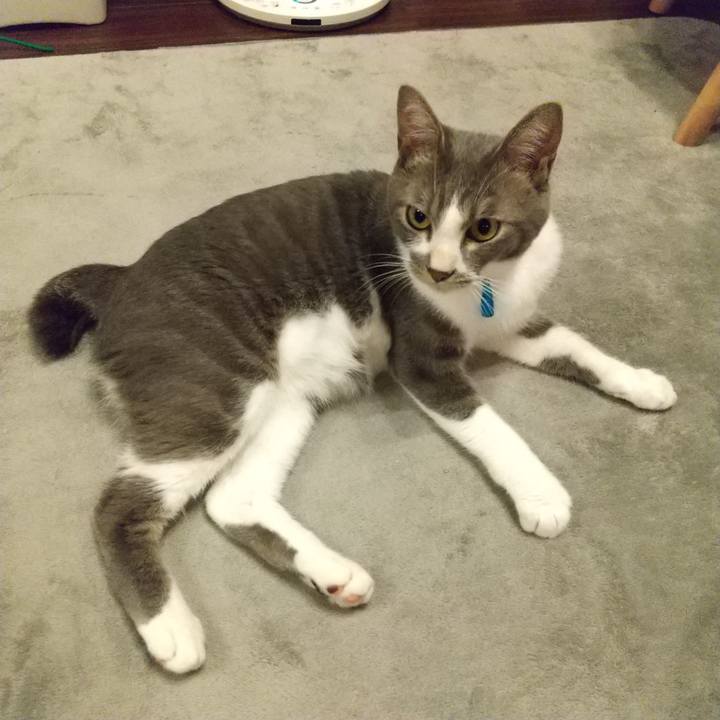 Ab3cafff e6db 45b1 b619 64596d6bada1 1596372034810