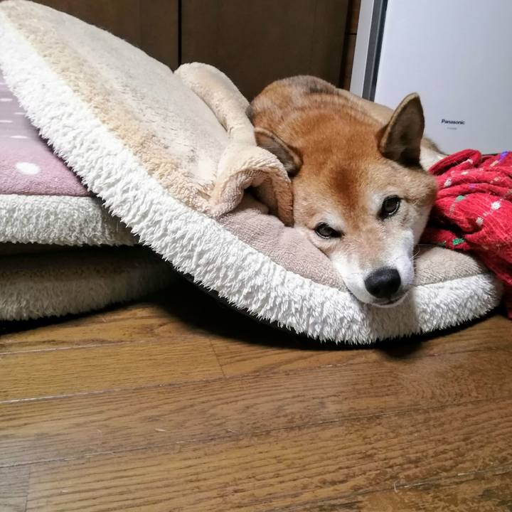 Ab3cbc58 ad1e 43b8 b137 101f2940e552 1630673962770