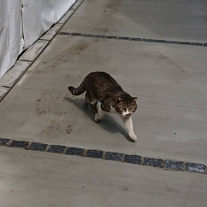 Ab3ced39 a7b1 4075 9d24 9457085005cc 1552310227126