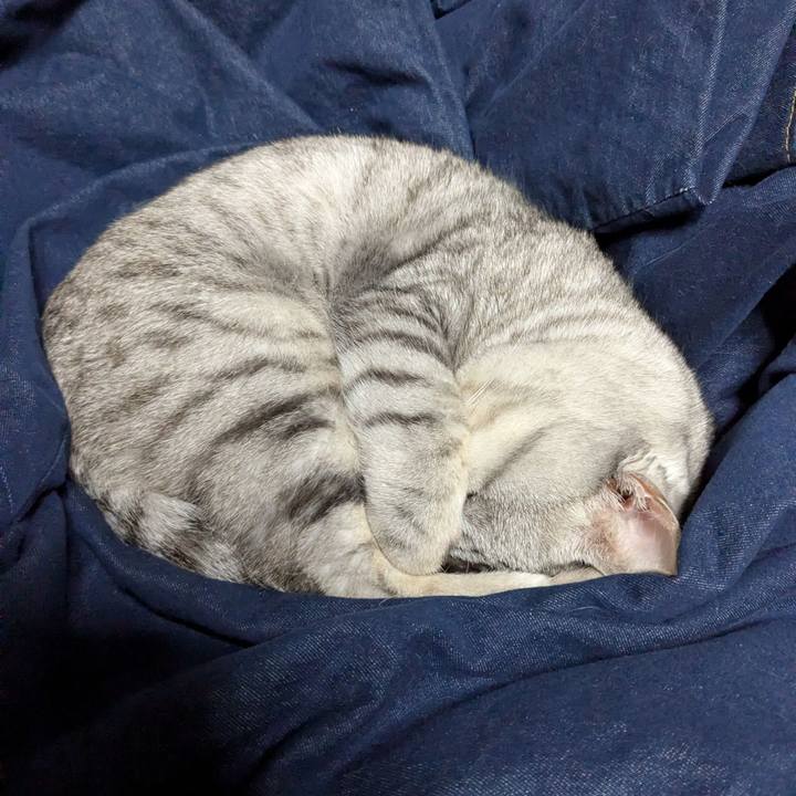 Ab3d0296 0793 4575 8947 3bb8f472b345 1767799999178