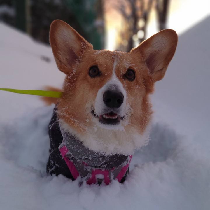 Ab3d04e7 ceec 49ff add0 e2421a622ae8 1769039156115