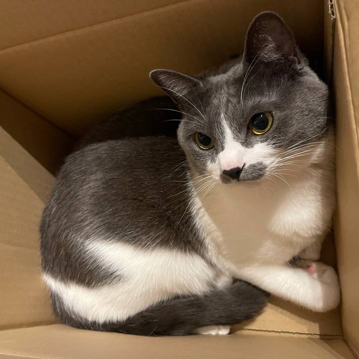 Ab3d1b01 bd5c 4159 87f3 0f4c2f45d54c 1640010449438