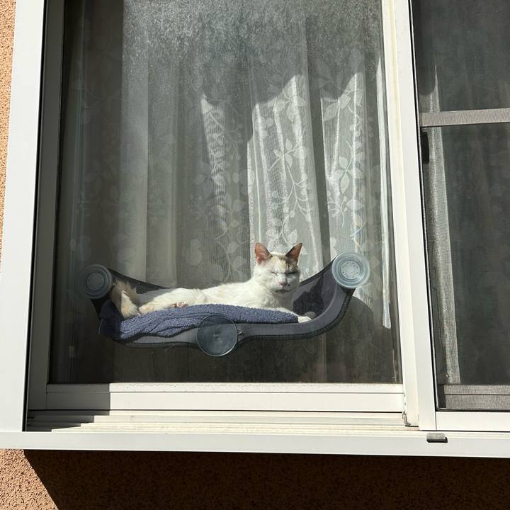 Ab3d34f6 1767 4d0d a336 56c05b85a793 1771666116908