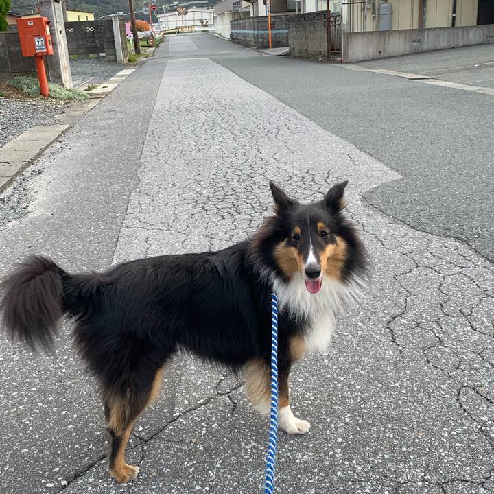 Ab3d3ba3 e210 43b5 a94f a8798bbbfd7b 1572904527627