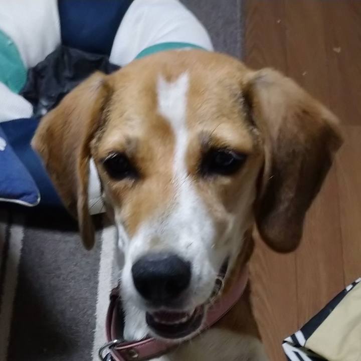 Ab3d6856 05d3 484e 8428 f8ad484198ba 1599043786937