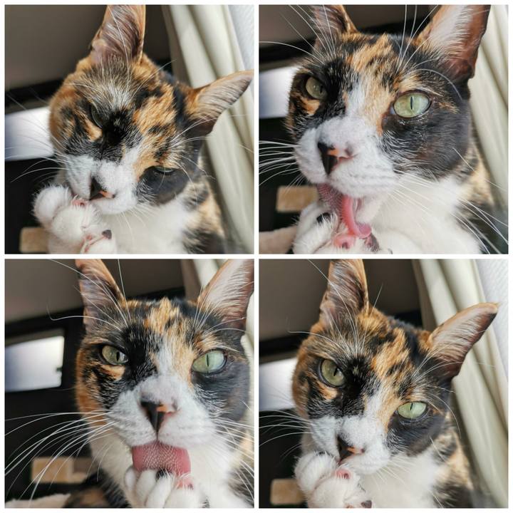 Ab3d7920 4806 4c0c 9fc9 72c35f7d9772 1636261680238