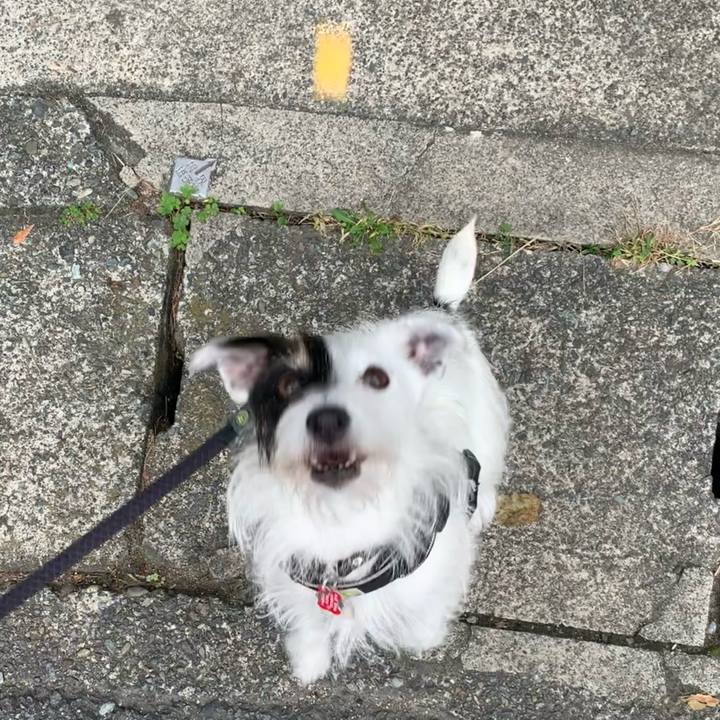 Ab3d985c 54b7 42e8 be1c 3c016bf341c6 1699486660991