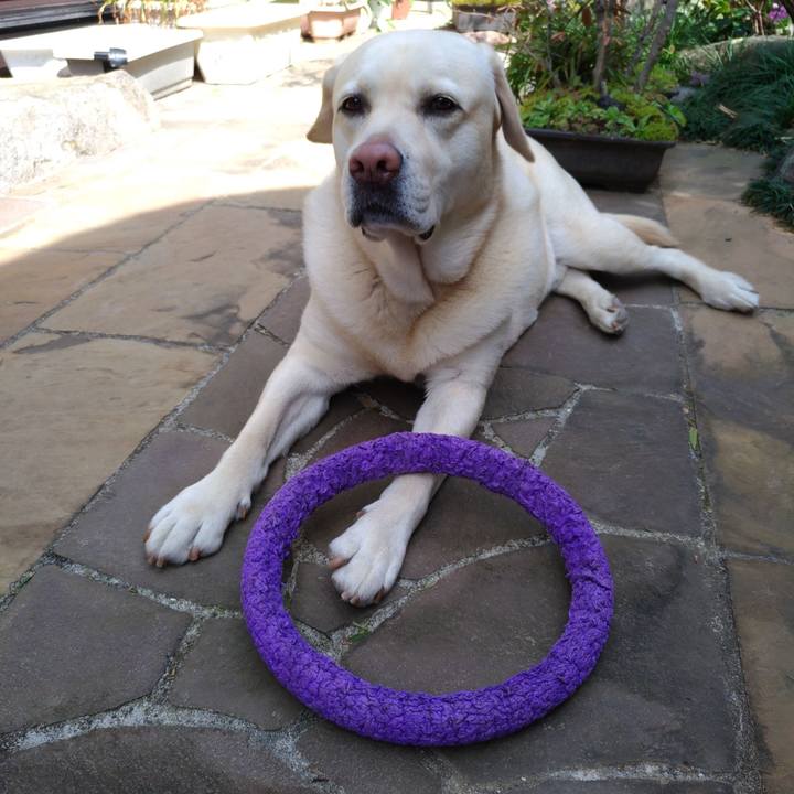 Ab3db0e0 1103 4603 a7bc 1068088186df 1615866220850