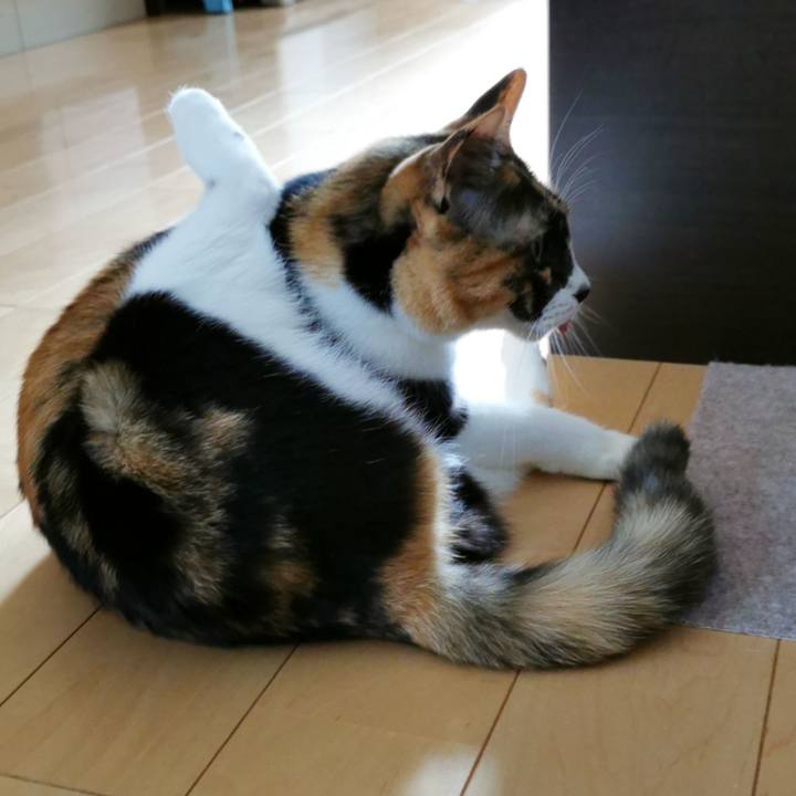 Ab3db39d ee8b 4fb1 8c29 3d708ca7424a 1638161625520