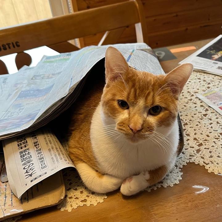 Ab3dc71a 0a67 47bc ac02 de9a9ad87213 1678488720955