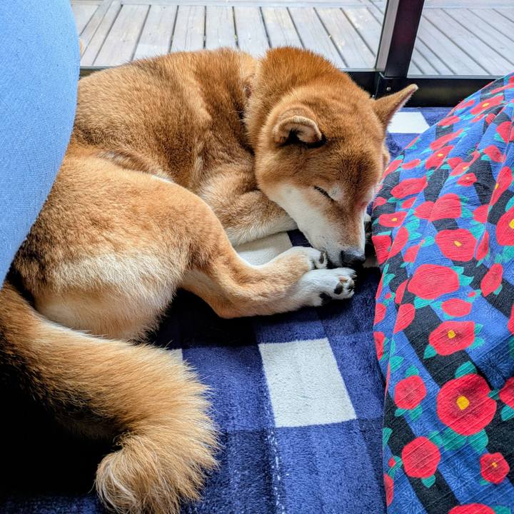 Ab3dea0a 882f 4ed8 861d 68bb11ab2df1 1743389652903