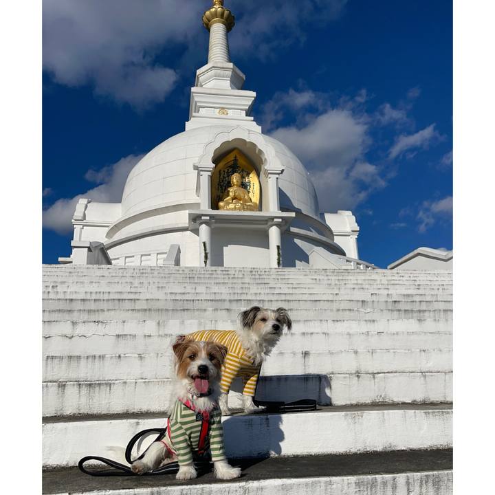 Ab3e1ad4 8b03 46e5 a1c2 de909d47b349 1767529246660