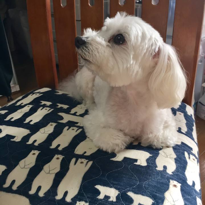 Ab3e2d97 a08f 4364 9918 e6b33a00abcf 1524784156831