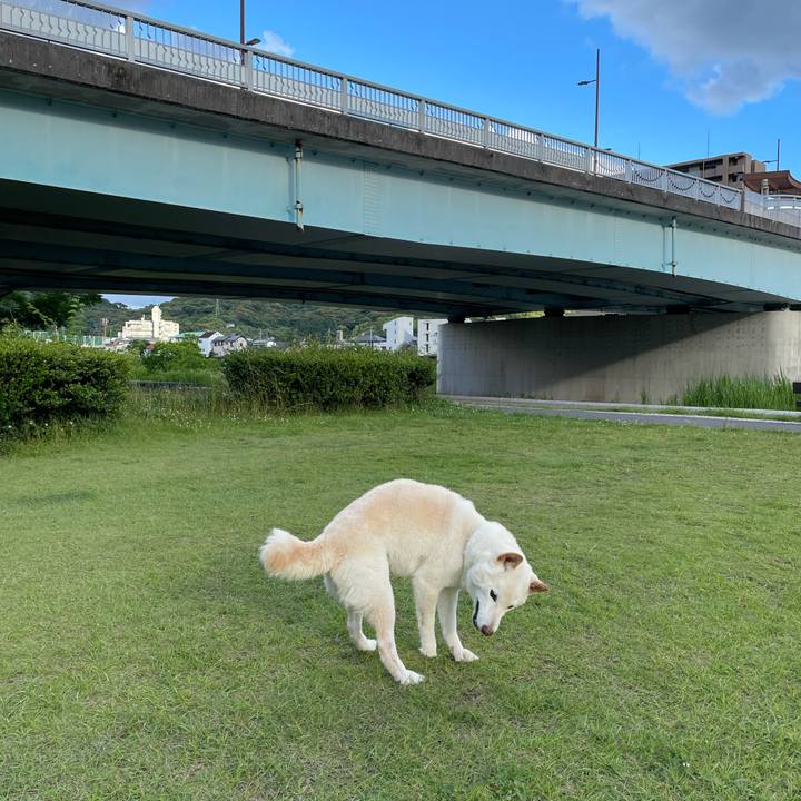 Ab3e2fd0 6b1f 4769 8212 6737b90aa2aa 1654533455643