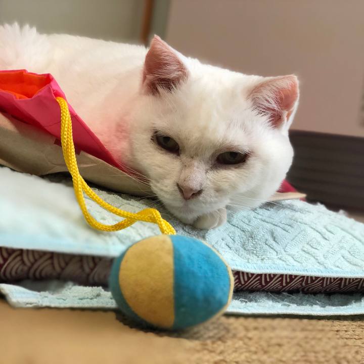 Ab3e418b 6b1b 4525 af61 45ce418e4865 1534168281982