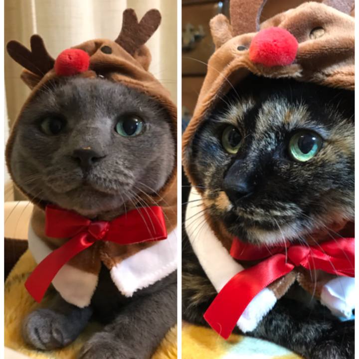 Ab3e56af 49b3 4981 82f8 a147fe11022d 1545665670662