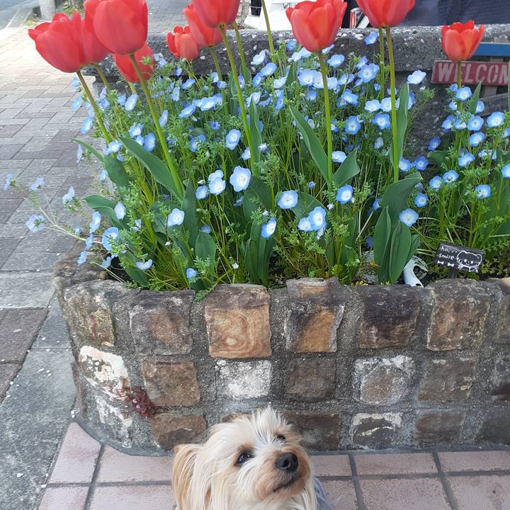 Ab3e6673 d561 4fc7 80a3 82f32b2945cf 1649550832731