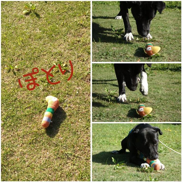 Ab3e6d4a ce61 44ca ba04 7415db33986a 1619829298963