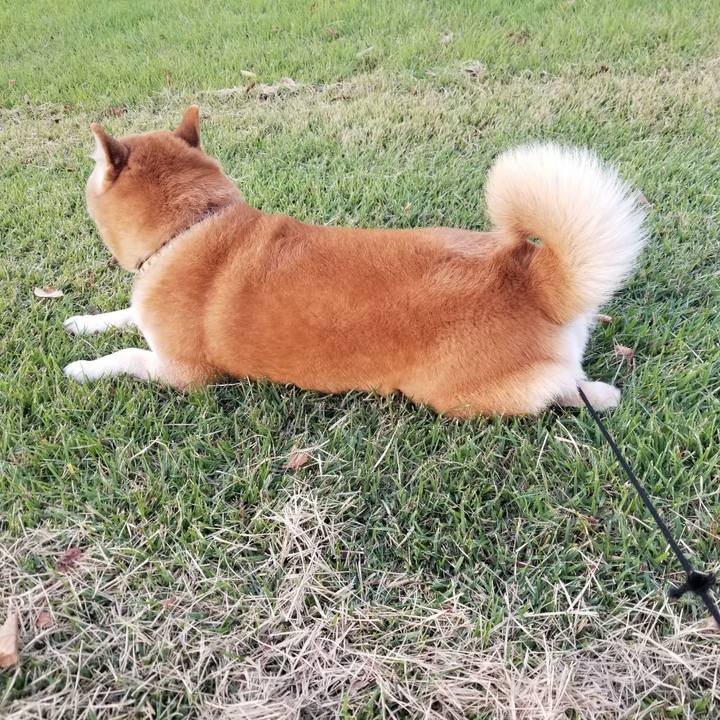 Ab3e8eb1 732d 4882 9d37 69bde6b694dc 1633332688160