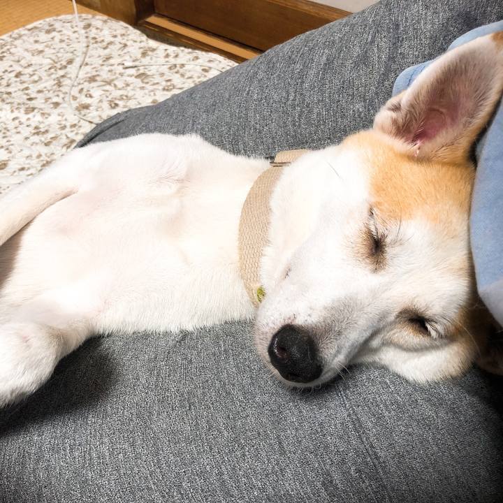 Ab3eb980 98e6 4cd2 8a80 e8d32e4073e0 1594567353320