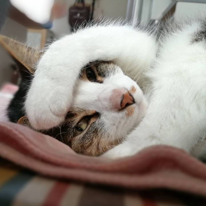 Ab3f570d 3e6f 4f49 b49c 7438204c1ccb 1561626180120