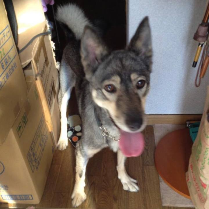 Ab3f70cb 8385 4353 8e39 1cfc9b78ef44 1568114029285