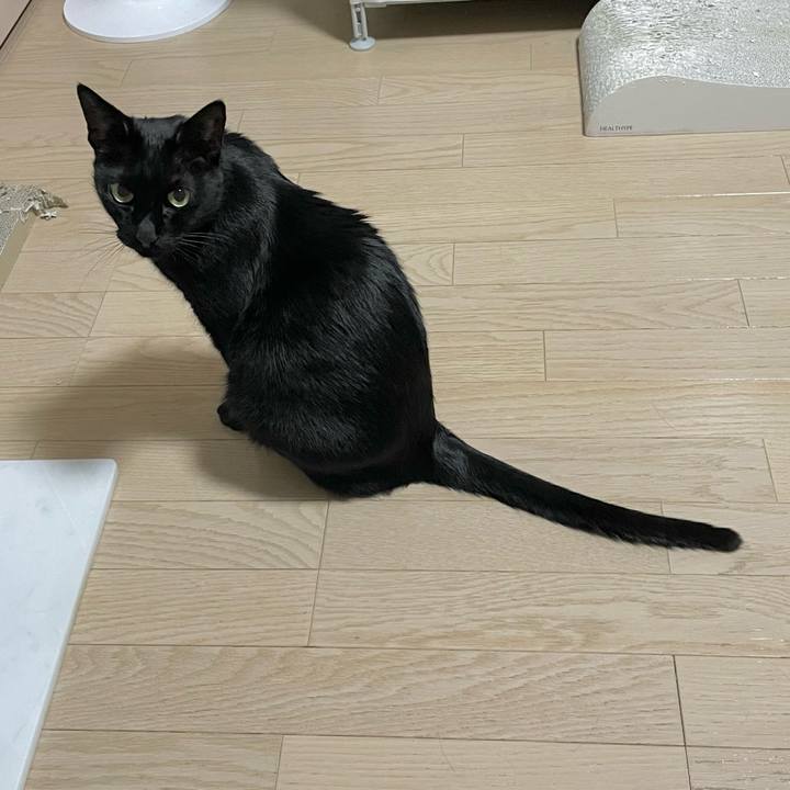 Ab3f7a04 a1f0 4177 9733 4fc9c604a42a 1691926958355