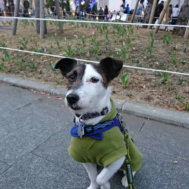 Ab3f8505 a653 400d 9e6f 1e8efc4bad6b 1518336990722