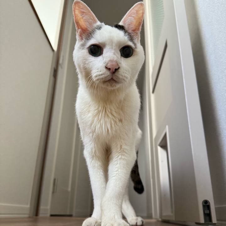 Ab3f908a e44a 4169 9dfe 8440fea67fbb 1768102176559