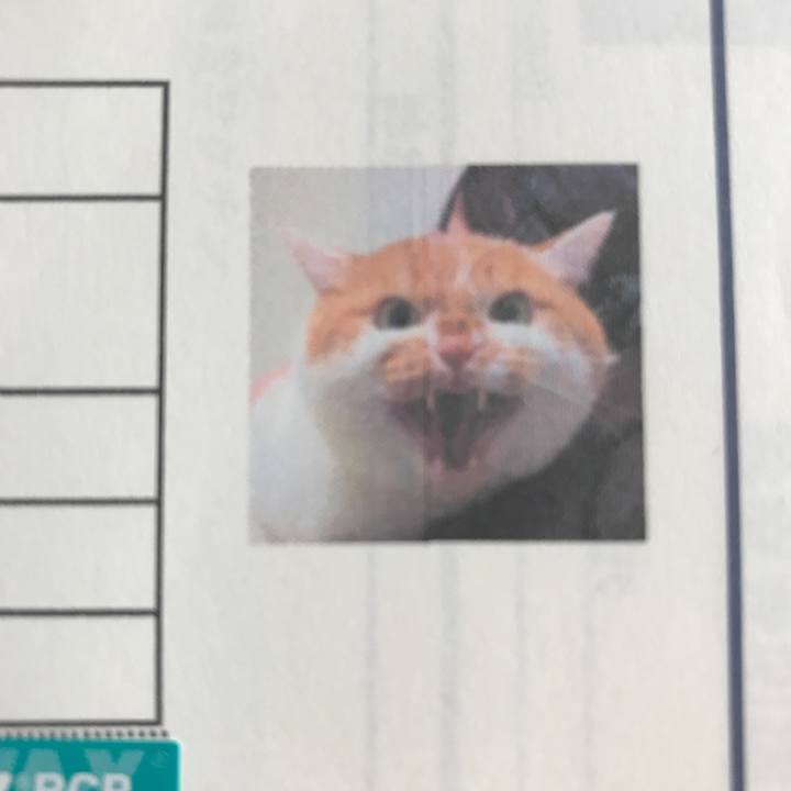 Ab3f9140 25d7 43fa a082 c8018849309c 1518229509509