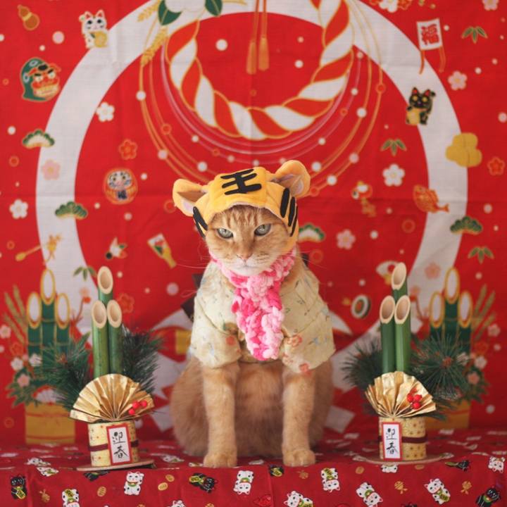 Ab3fa383 2d22 4dd7 ae3f 9140d7b69cc4 1640964796114