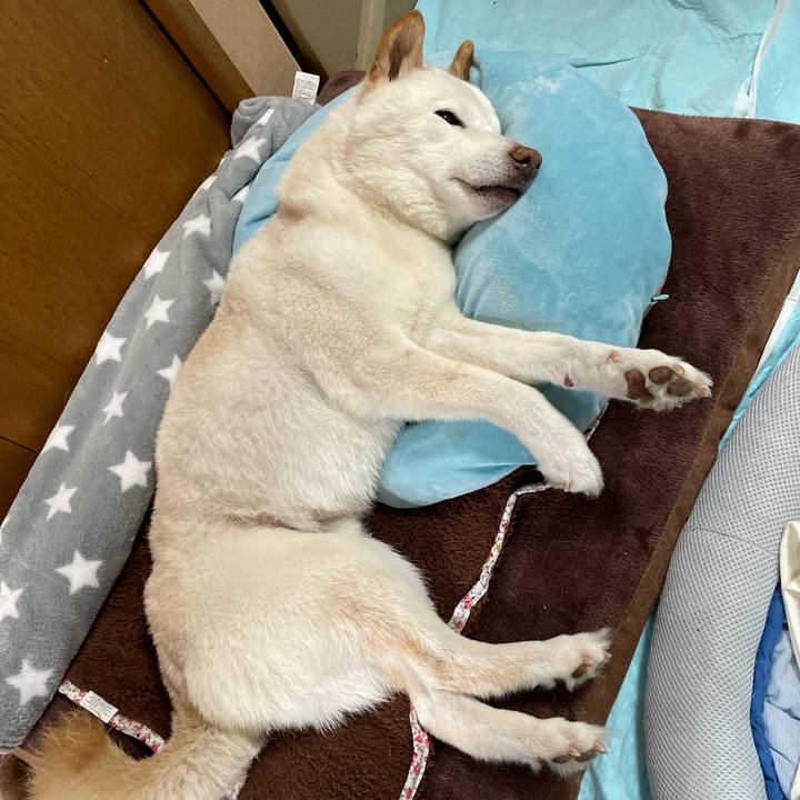 Ab3fa504 af2a 4206 aa77 242a7f525883 1647268870592