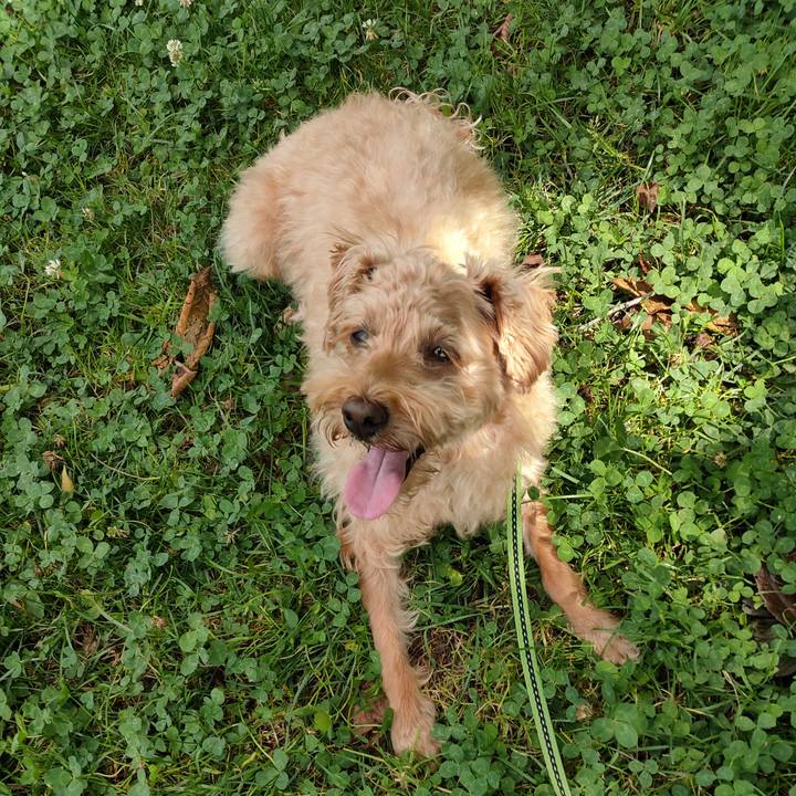 Ab3fbc76 254a 4a86 8d87 bd2dcdb1b6dc 1597468629174