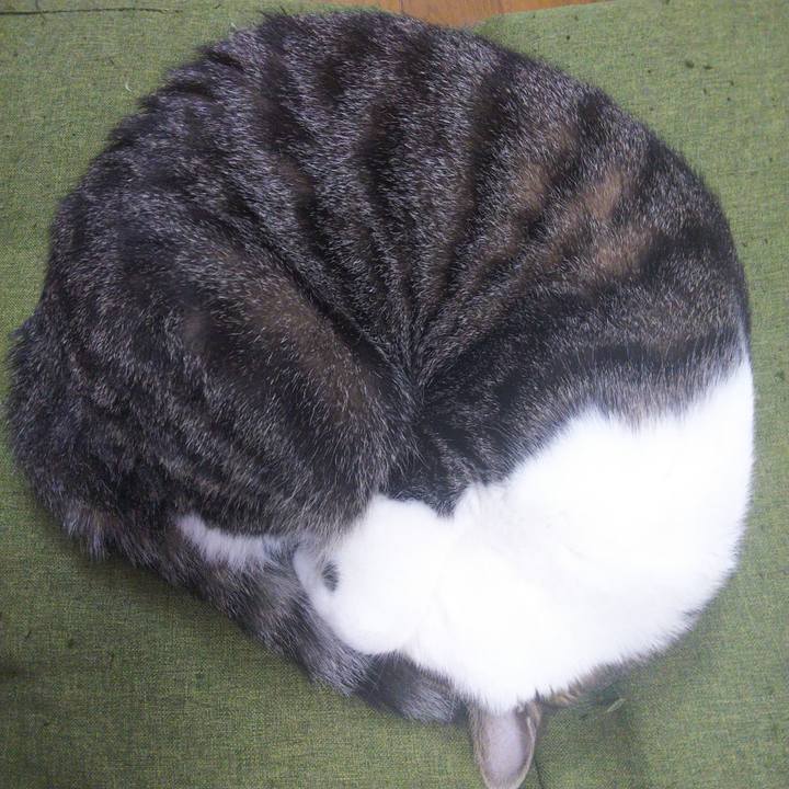 Ab3fe725 0d8b 4ff3 8403 137d49f70996 1655189517789