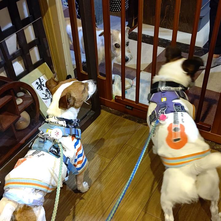 Ab402afb ada0 4f22 b947 d899b799b283 1657960984039