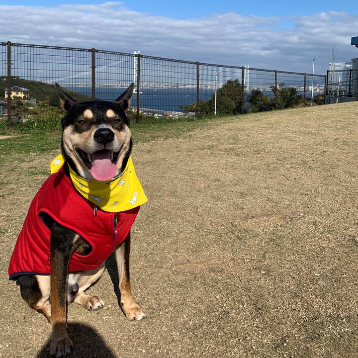 Ab405c0f b09d 42e4 b456 edab41e046f9 1575796225011