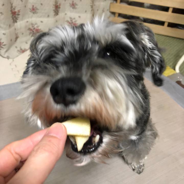 Ab406d3e 68ed 4801 b78c 3eb77ba9ac69 1645237430771