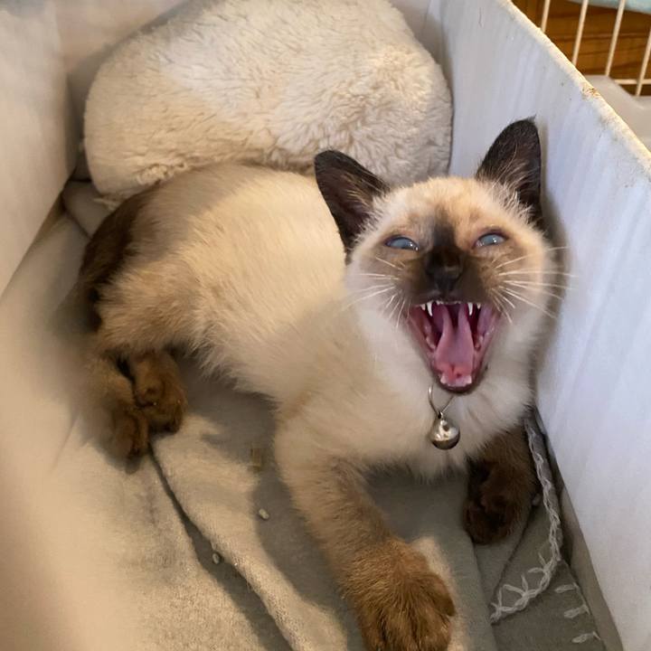 Ab408576 bbe4 4cd1 ba0c 8ac4d9cdf93f 1686644450659