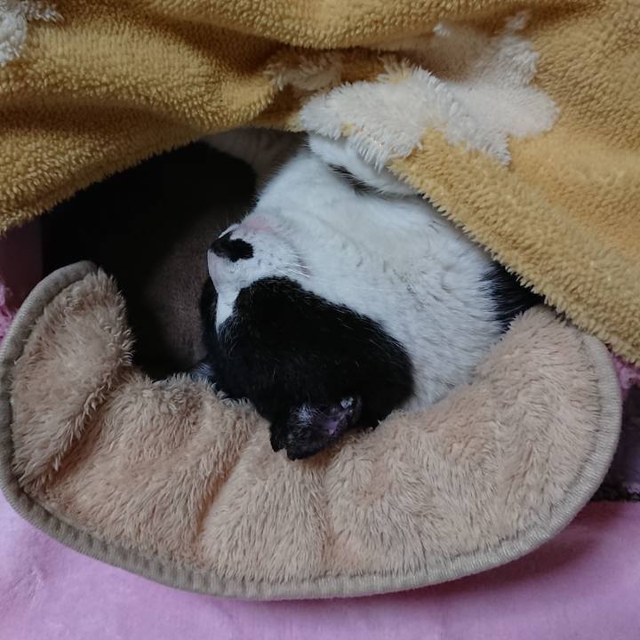 Ab40a3af 851c 43a5 a146 e5f53250bae1 1552001000822