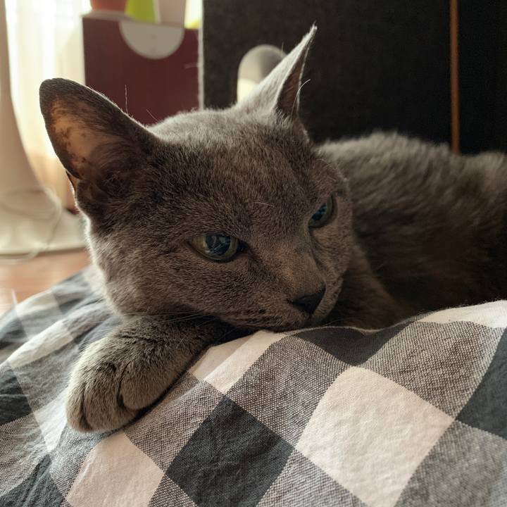 Ab40b065 0801 47de a05e 0ec1ff49a33d 1562797712230