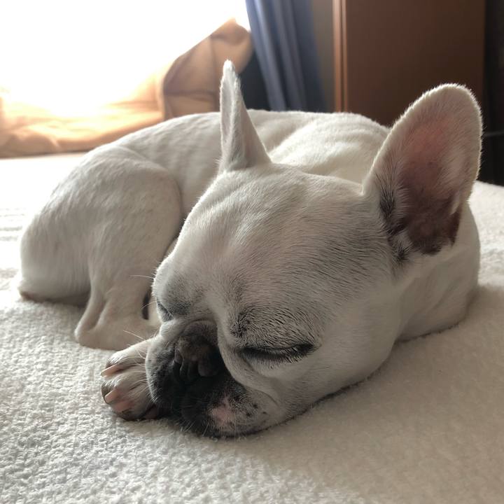 Ab40d83b 8b97 473b 88e7 ef756c11bd4f 1623752232842