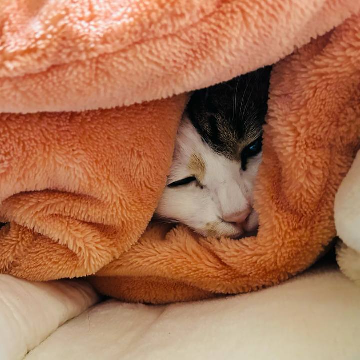 Ab40dae3 d6c9 4c4c 9adf 9a783c64705d 1767736265380