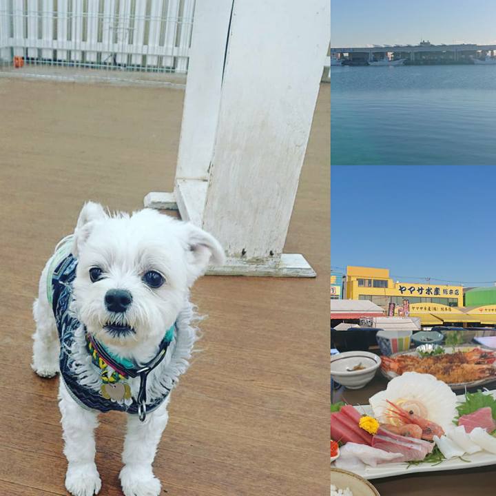 Ab411770 04e9 4420 a70f 2565716106e0 1577533961839