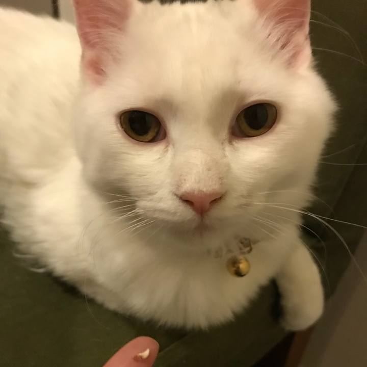 Ab4124c6 9246 40f6 95b1 79dc26bd96a5 1513949498530