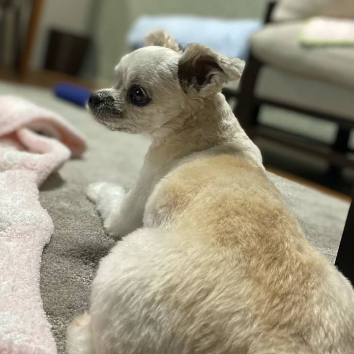 Ab41742f e504 4aa5 bf6f 8df4d322662f 1637242232377