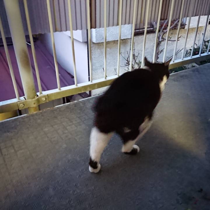 Ab417585 c93b 4f9d 989c 11d57c9be8c3 1617022187770