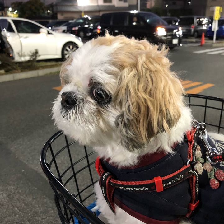 Ab417c5e 9f1b 4fd8 a656 7be74d78575b 1576792301462